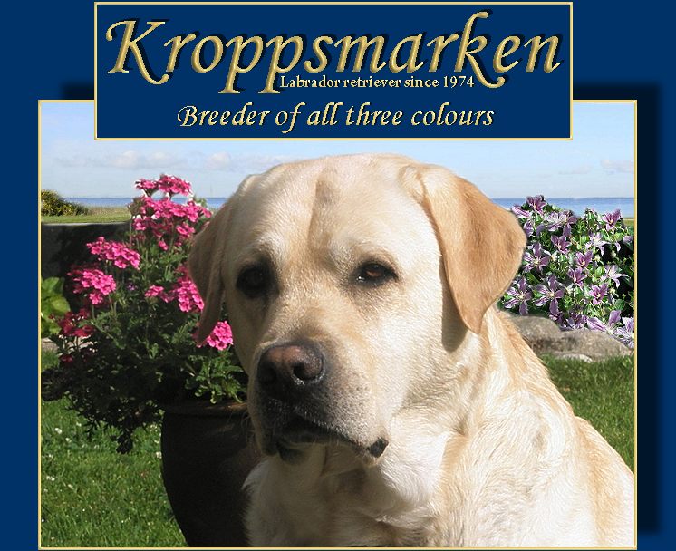 Välkommen till Kroppsmarkens kennel